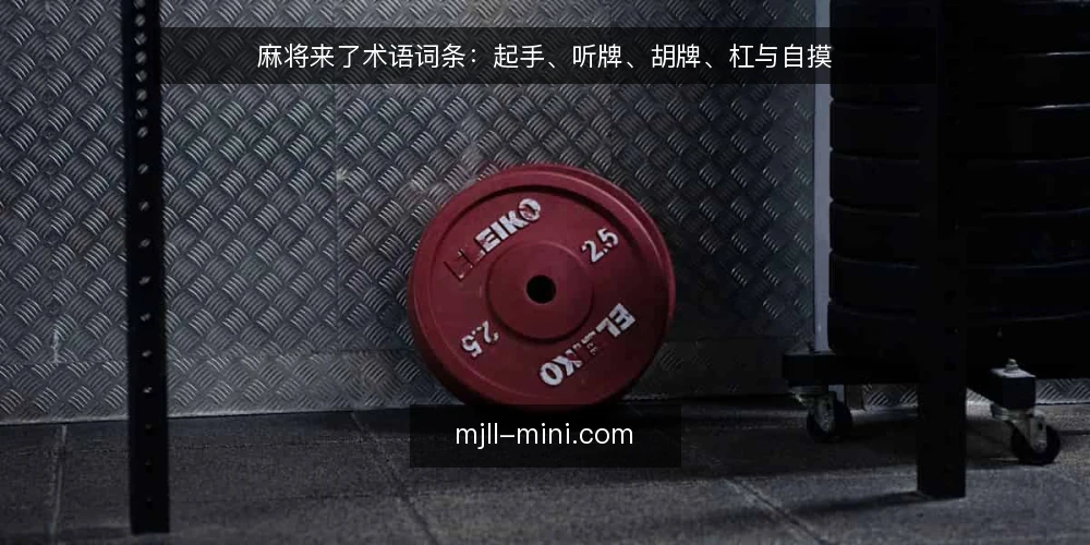 麻将来了术语词条：起手、听牌、胡牌、杠与自摸 — 麻将来了术语概述 配图